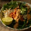 Nina’s Recept: Tempeh met Pindasaus cover
