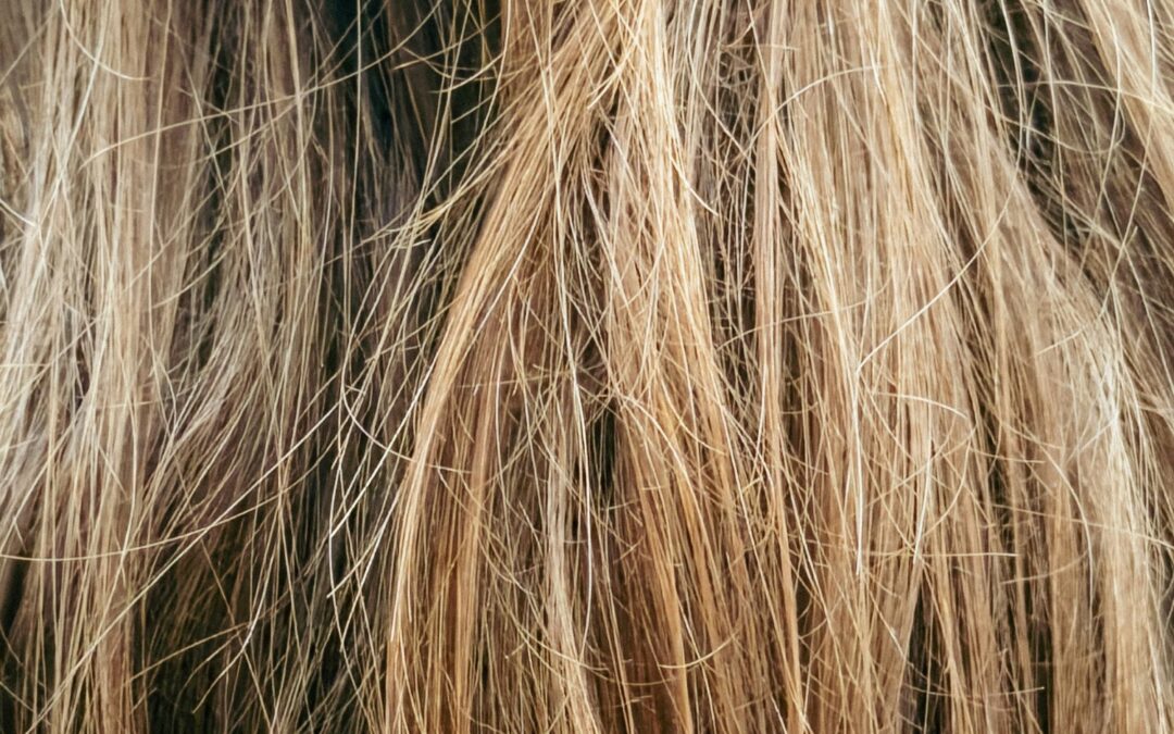 Haartransparantie en haarverbetering met polynucleotiden: wat is het verschil? cover